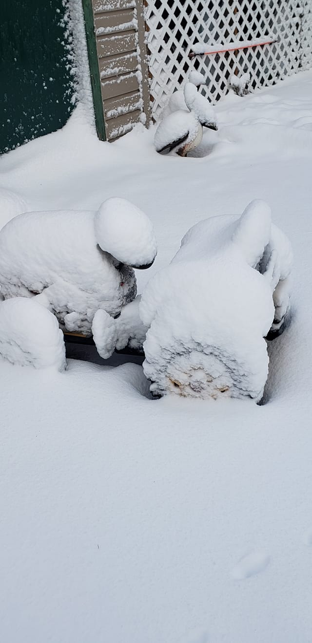 March 3rd Winter Storm & Flooding